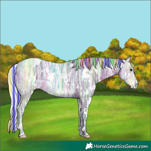 Horse Color:Painted Watercolor White Spotted Silver Bay Ice Rabicano 