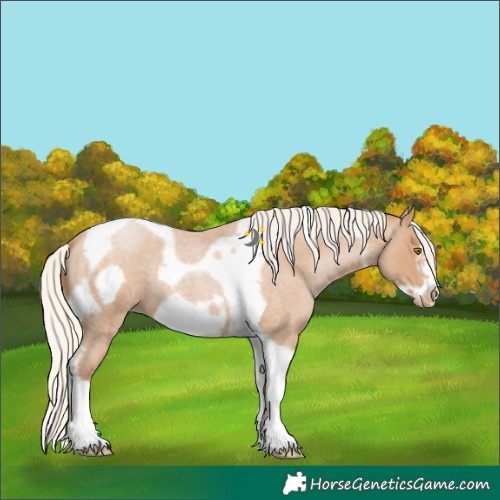Horse Color:Silver Blue Roan Pearl Tobiano Frame 
