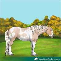 Horse Color:Silver Blue Roan Pearl Tobiano Frame 