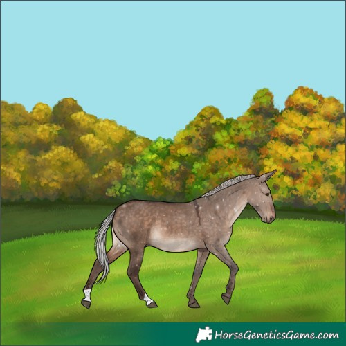 Horse Color:Silver Brown Dun Mushroom 