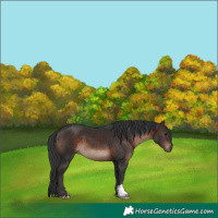 Horse Color:Brown Mushroom