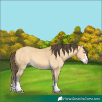Horse Color:Amber Cream Champagne Dun Splash 