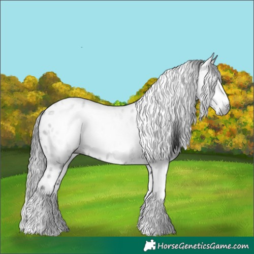 Horse Color:Gray White Spotted Smoky Black Tobiano Leopard 