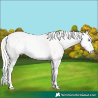 Horse Color:Silver Perlino Ice Rabicano 