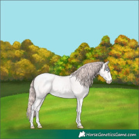 Horse Color:Perlino Ice Rabicano