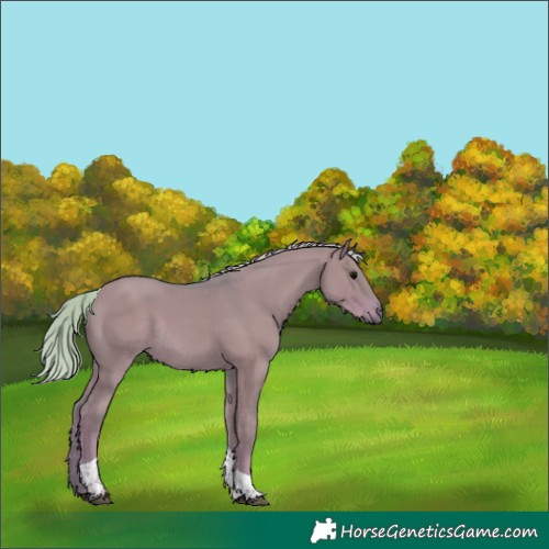 Horse Color:Watercolor Silver Grullo Tobiano Rabicano 