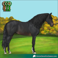 Horse Color:Brown 