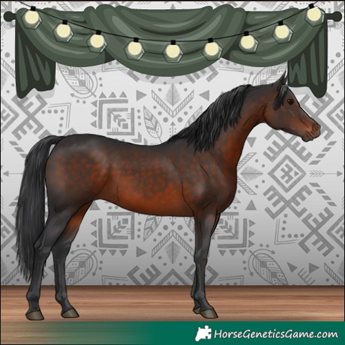 Horse Color:Brown 
