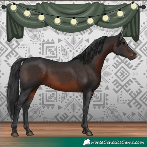 Horse Color:Brown 