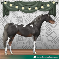 Horse Color:Liver Chestnut Tobiano Varnish 