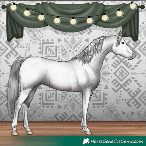Horse Color:Gray Bay Tobiano 