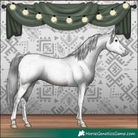 Horse Color:Gray Bay Tobiano