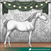 Horse Color:Gray Bay Tobiano