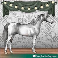 Horse Color:Gray Bay Tobiano 