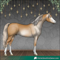 Horse Color:Gray Palomino Dun