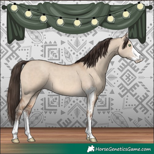 Horse Color:Sable Champagne Dun Sabino 