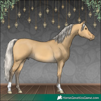 Horse Color:Silver Buckskin Dun 
