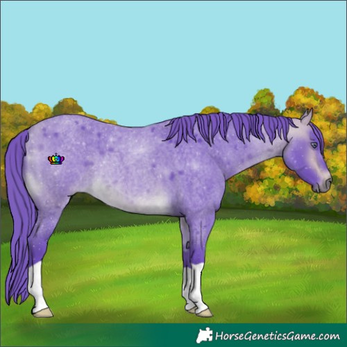 Horse Color:Watercolor Buckskin Chinchilla Roan 