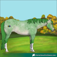 Horse Color:Watercolor Buckskin Chinchilla Roan 