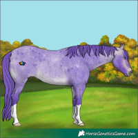 Horse Color:Watercolor Buckskin Chinchilla Roan