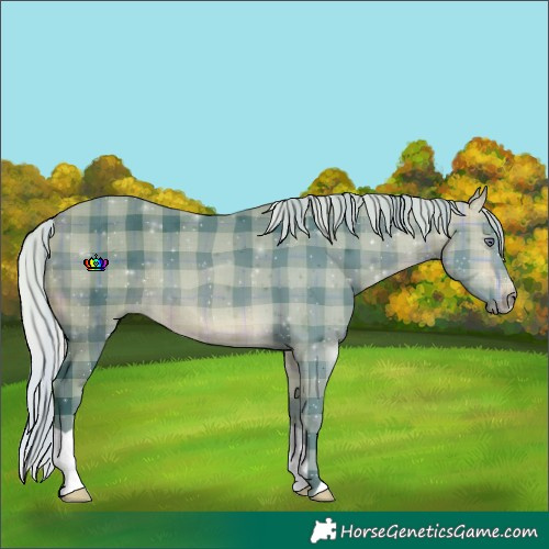 Horse Color:Watercolor Plaid  Silver Buckskin Chinchilla 