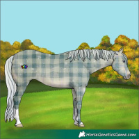 Horse Color:Watercolor Plaid  Silver Buckskin Chinchilla 