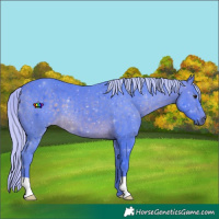 Horse Color:Watercolor Silver Buckskin