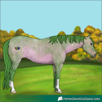 Horse Color:Watercolor Brown Dun 