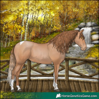 Horse Color:Brown Pearl Tobiano