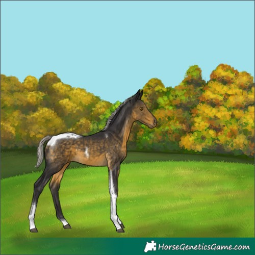 Horse Color:Silver Buckskin Tobiano 