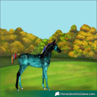 Horse Color:ERROR: UNKNOWN ANOMALY