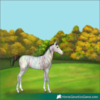 Horse Color:Painted Brown Ice