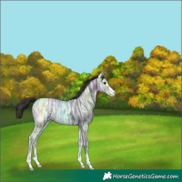 Horse Color:Smoky Black Ice 