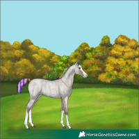 Horse Color:Painted Silver Smoky Blue Roan Splash