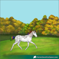 Horse Color:Painted Grullo Splash Blanket  and Bay Splash Near Fewspot 