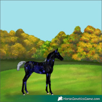 Horse Color:ERROR: UNKNOWN ANOMALY