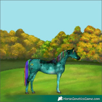 Horse Color:ERROR: UNKNOWN ANOMALY