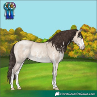 Horse Color:Sable Champagne Dun Sabino Rabicano 