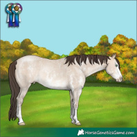 Horse Color:Sable Champagne Dun Sabino Rabicano