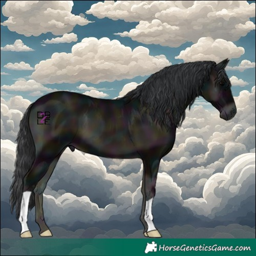 Horse Color:Midnight Blue Onyx 