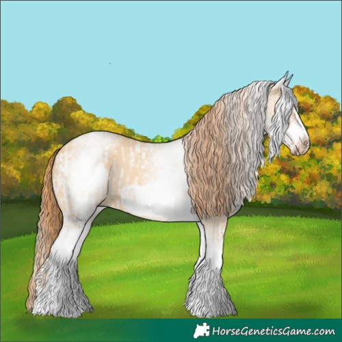 Horse Color:White Spotted Bay Dun Splash  and White Spotted Red Dun Frame 