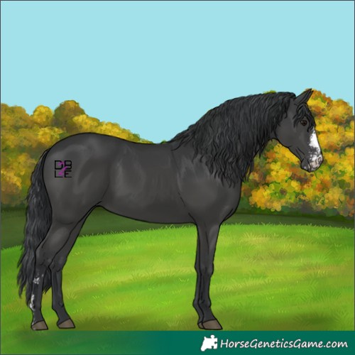 Horse Color:Black Sabino
