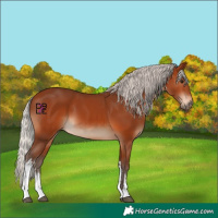 Horse Color:White Spotted Silver Brown