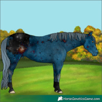 Horse Color:ERROR: UNKNOWN ANOMALY