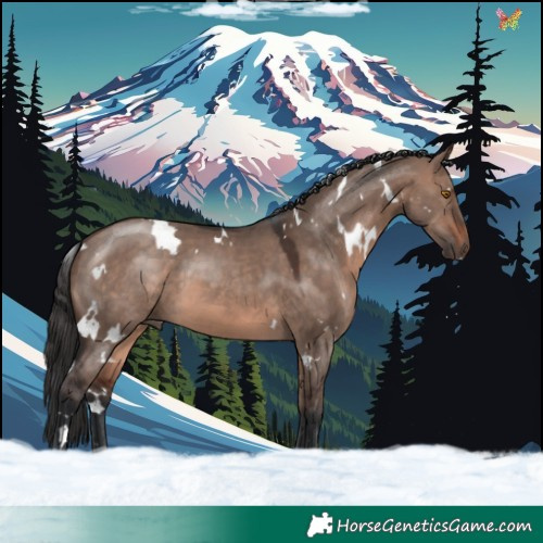 Horse Color:White Spotted Brown Dun Mushroom 