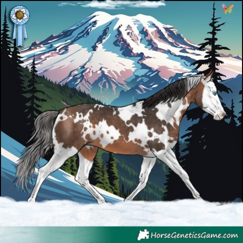 Horse Color:White Spotted Bay Mushroom Splash 