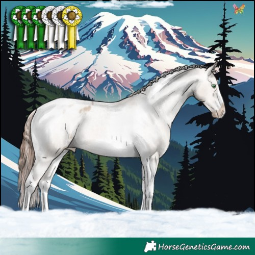 Horse Color:Sable Champagne Dun Tobiano Frame Appaloosa 