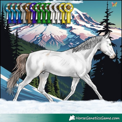 Horse Color:Sable Champagne Dun Tobiano Frame Appaloosa 