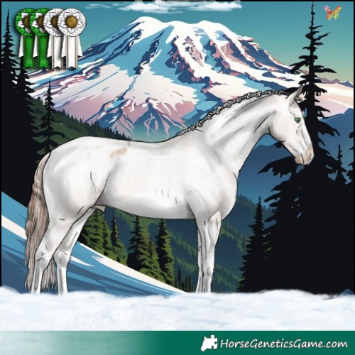 Horse Color:Sable Champagne Dun Tobiano Frame Appaloosa 