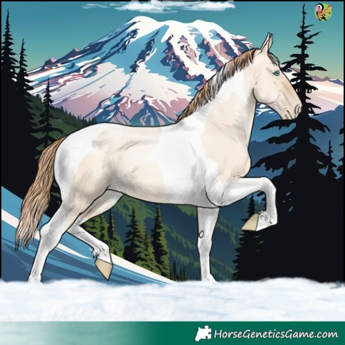 Horse Color:Gold Champagne Pearl Dun Tobiano 